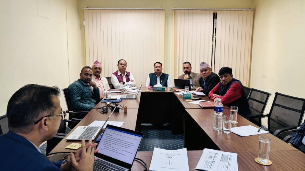 मुख्यमन्त्री थापा : पुर्ननिर्माण शीघ्र अघि बढाउने, अनुदान रकम तत्काल प्रदान गर्ने लगायत परिषद् बैठकको निर्णय